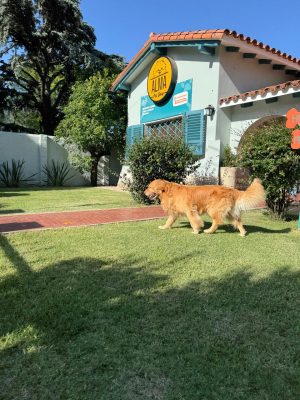 WhatsApp Image 2024-12-04 at 11.58.01 AM (1)