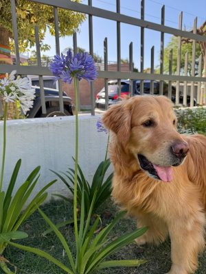 WhatsApp Image 2024-12-04 at 11.58.01 AM