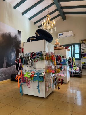 WhatsApp Image 2024-12-04 at 11.58.02 AM (1)