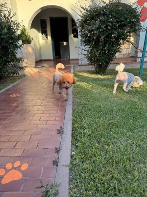 WhatsApp Image 2024-12-05 at 6.44.18 PM